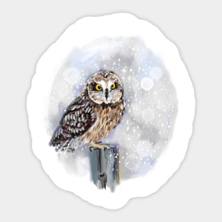 Short eared owl in the snow Sticker